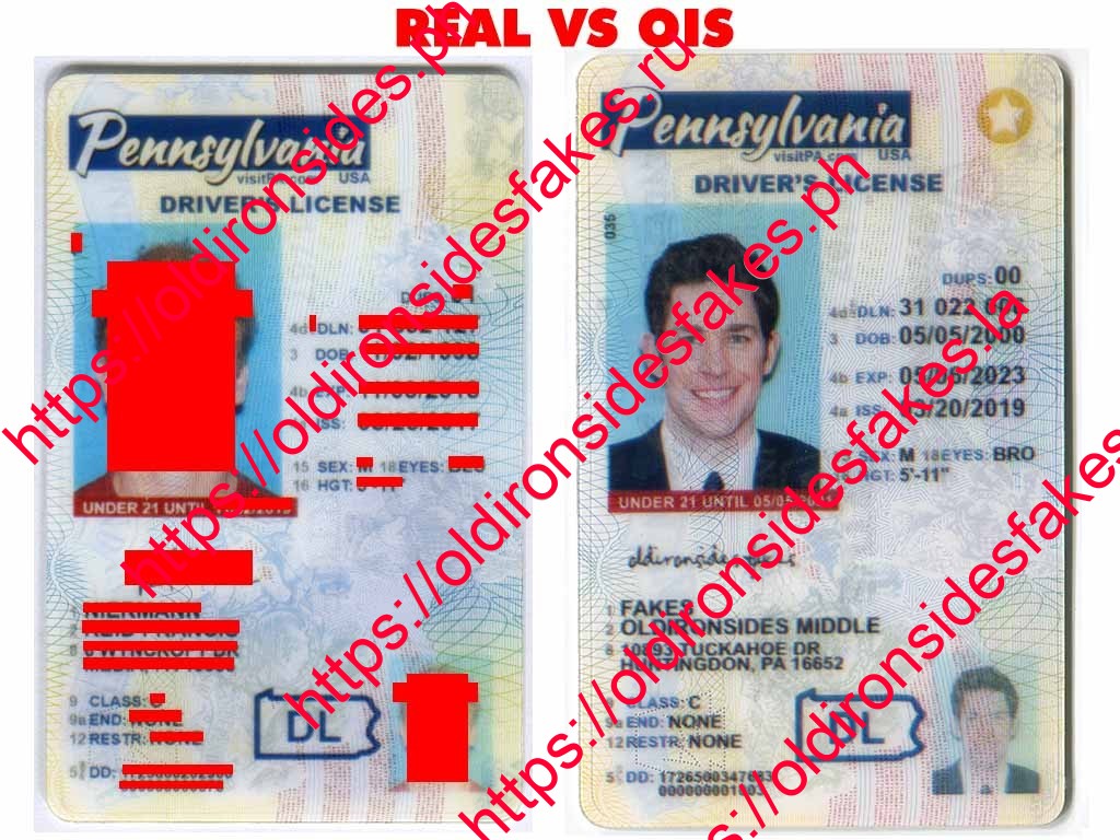 Pennsylvania Fake Id Reddit